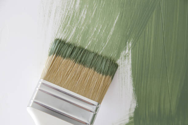 Mold Remediation for Rental Properties in Steep Falls, ME