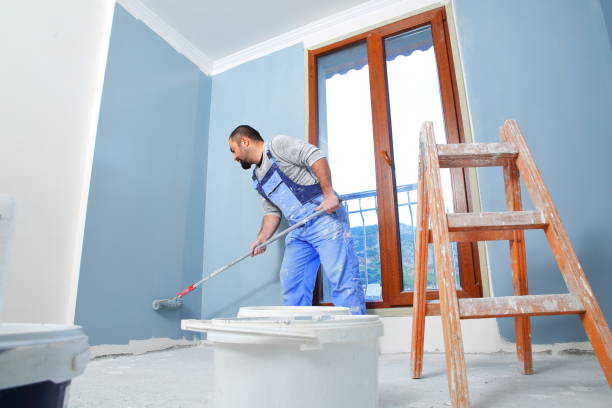 Best Mold Removal for HVAC Installations  in Steep Falls, ME