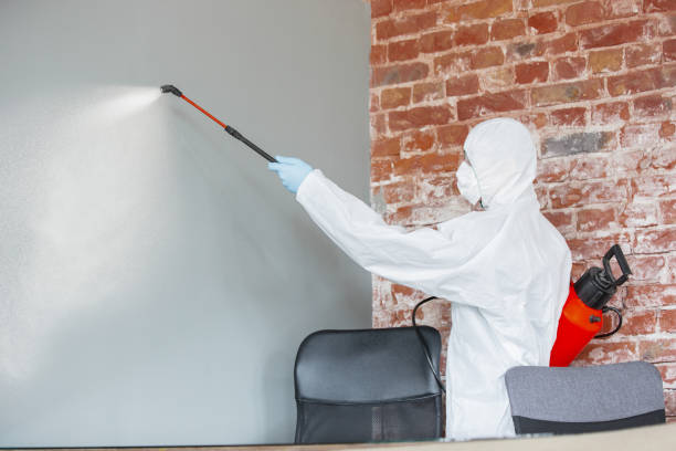 Best Mold Remediation for Rental Properties  in Steep Falls, ME