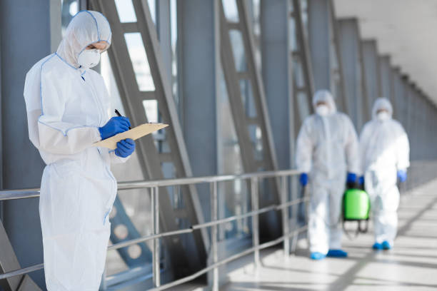 Best Mold Prevention Services  in Steep Falls, ME