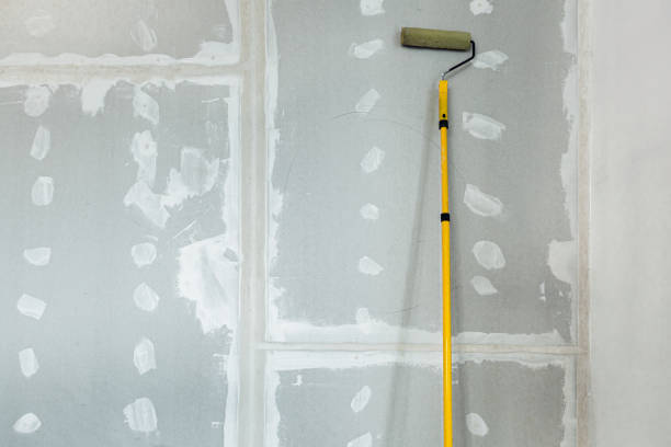 Best Asbestos and Lead Testing During Mold Inspection  in Steep Falls, ME