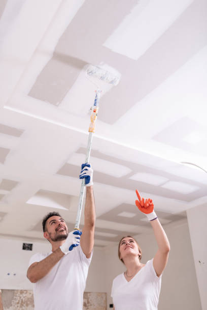 Professional Mold Removal in Steep Falls, ME