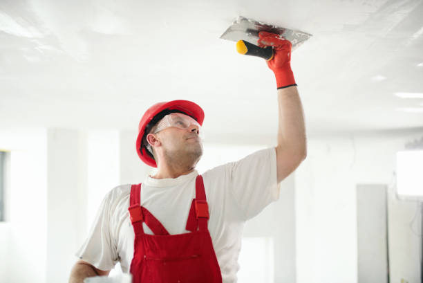 Best Crawl Space Mold Remediation  in Steep Falls, ME