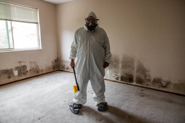 Best Air Quality Testing for Mold Spores  in Steep Falls, ME